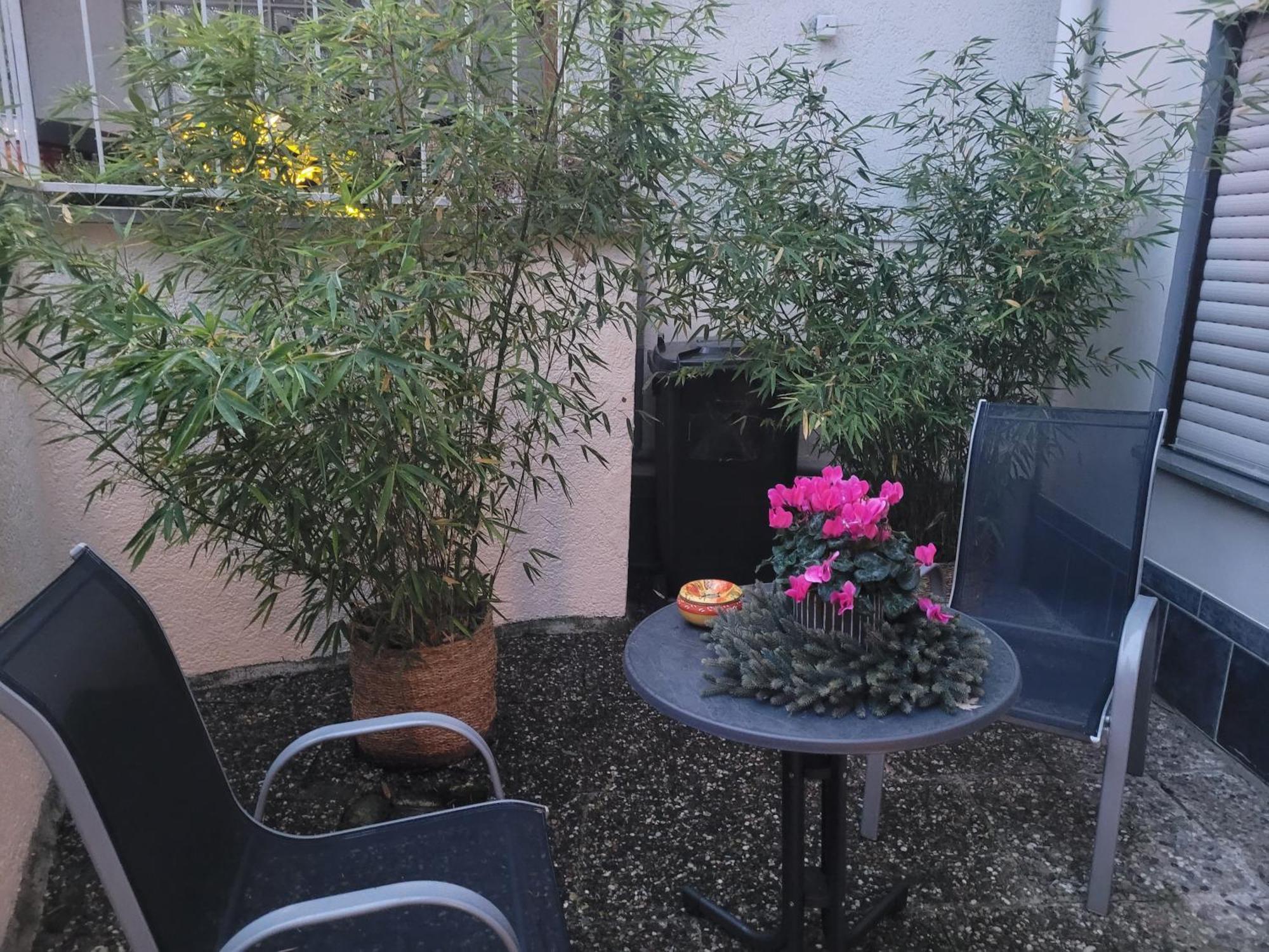 Ferienwohnung Riesling Bobenheim am Berg Dış mekan fotoğraf